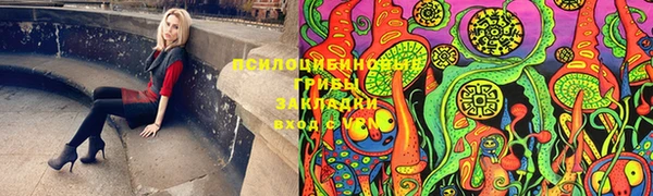 трава Зеленокумск