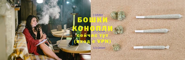 мдпв Зеленодольск